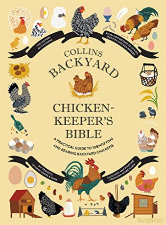 Collins Backyard Chicken-keeper's Bible: A practical guide to identifying and rearing backyard chickens - Jessica Et Al Ford [KSIĄŻKA]