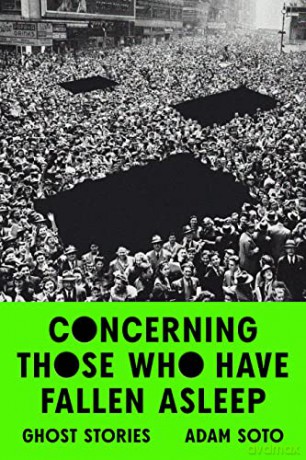 Concerning Those Who Have Fallen Asleep: Stories - Adam Soto [KSIĄŻKA]