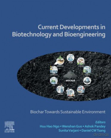 Current Developments in Biotechnology and Bioengineering: Biochar Towards Sustainable Environment - Huu Hao Ngo [KSIĄŻKA]