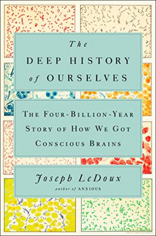 Deep History of Ourselves, The: The Four-Billion-Year Story of How We Got Conscious Brains - Joseph Ledoux [KSIĄŻKA]