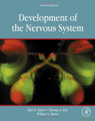 Development of the Nervous System - Dan Sanes [KSIĄŻKA]