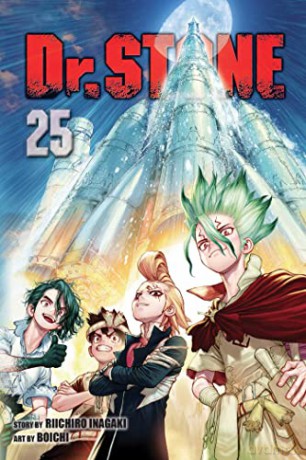 Dr. STONE, Vol. 25: Volume 25 - Riichiro Inagaki [KSIĄŻKA]