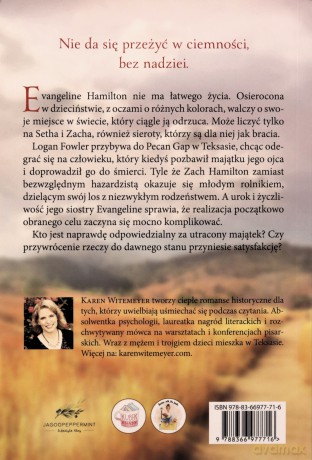 Dalej, niż sięga wzrok - Karen Witemeyer [KSIĄŻKA]