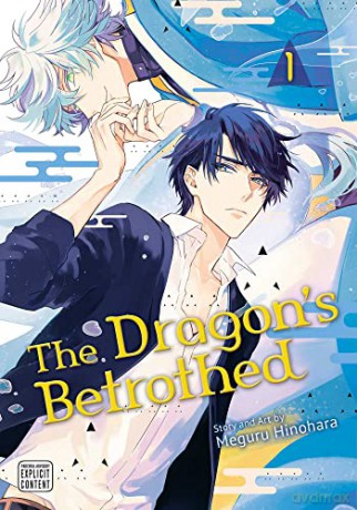 Dragon's Betrothed, Vol. 1: Volume 1 - Meguru Hinohara [KSIĄŻKA]