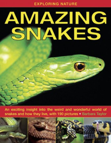 Exploring Nature: Amazing Snakes: an Exciting Insight into the Weird and Wonderful World of Snakes and How They Live, with 190 Pictures - Barbara Taylor [KSIĄŻKA]