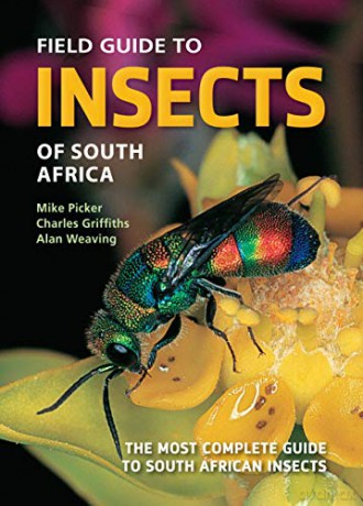 Field Guide to Insects of South Africa - Mike Picker [KSIĄŻKA]