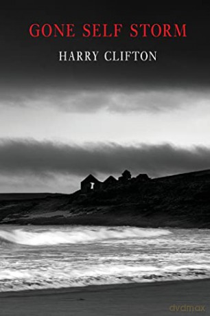 Gone Self Storm - Harry Clifton [KSIĄŻKA]