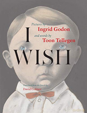 I Wish - Toon Tellegen [KSIĄŻKA]