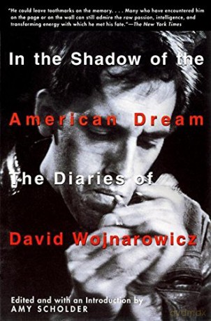 In the Shadow of the American Dream: The Diaries of David Wojnarowicz - David Wojnarowicz [KSIĄŻKA]