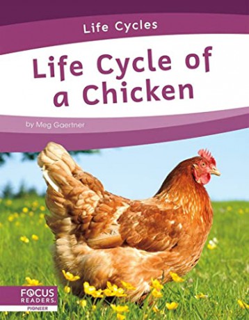 Life Cycle of a Chicken - Meg Gaertner [KSIĄŻKA]