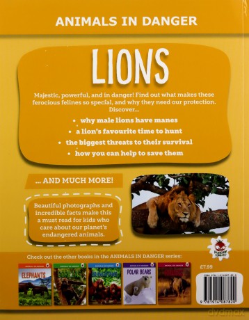 Lions - Animals In Danger - Kington Emily [KSIĄŻKA]