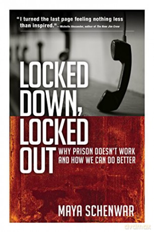 Locked Down, Locked Out: Why Prison Doesn't Work and How We Can Do Better - Maya Schenwar [KSIĄŻKA]