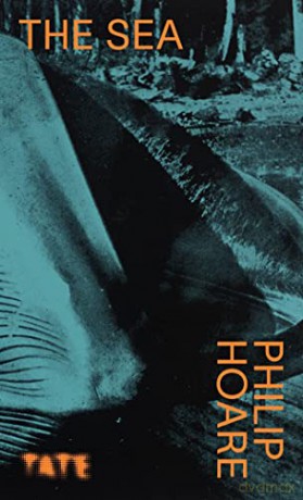 Look Again: The Sea - Philip Hoare [KSIĄŻKA]