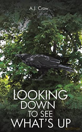 Looking Down to See What's Up - A.J. Crow [KSIĄŻKA]
