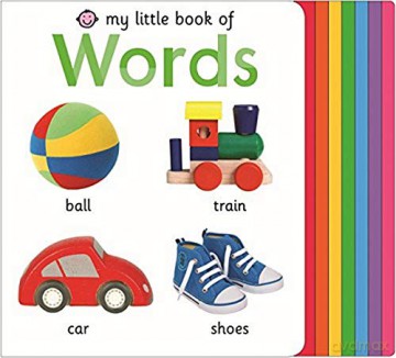 My Little Book of Words - Roger Priddy [KSIĄŻKA]