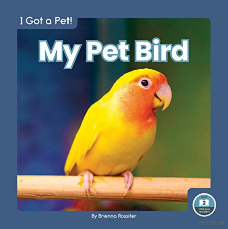 My Pet Bird - Brienna Rossiter [KSIĄŻKA]