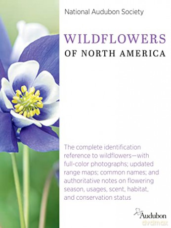 National Audubon Society Wildflowers of North America - National Audubon Soc [KSIĄŻKA]