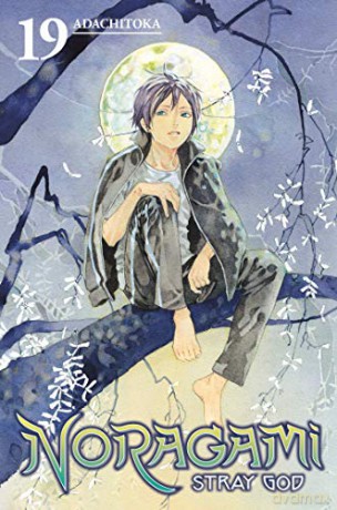 Noragami: Stray God 19 - Adachitoka [KSIĄŻKA]