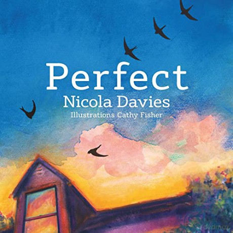 Perfect: Volume 1 - Nicola Davies [KSIĄŻKA]