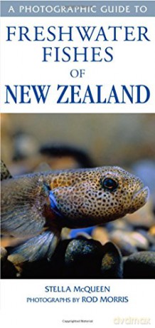 Photographic Guide to Freshwater Fishes of New Zealand - Stella Mcqeen [KSIĄŻKA]