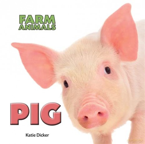 Pig - Katie Dicker [KSIĄŻKA]