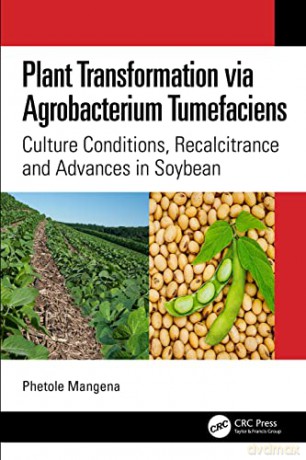 Plant Transformation via Agrobacterium Tumefaciens: Culture Conditions, Recalcitrance and Advances in Soybean - Phetole Mangena [KSIĄŻKA]