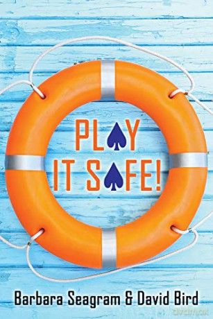 Play It Safe! - Barbara Seagram [KSIĄŻKA]