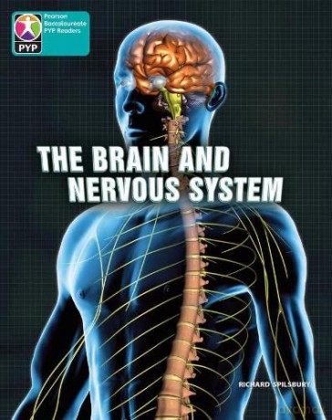 PYP L10 Brain and nervous system 6PK - Unknown [KSIĄŻKA]