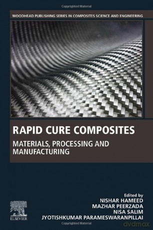 Rapid Cure Composites: Materials, Processing and Manufacturing - Nishar Hameed [KSIĄŻKA]