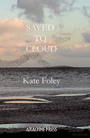 Saved to Cloud - Kate Foley [KSIĄŻKA]