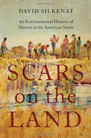 Scars on the Land: An Environmental History of Slavery in the American South [KSIĄŻKA]