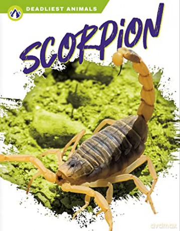 Scorpion - Rachel Hamby [KSIĄŻKA]