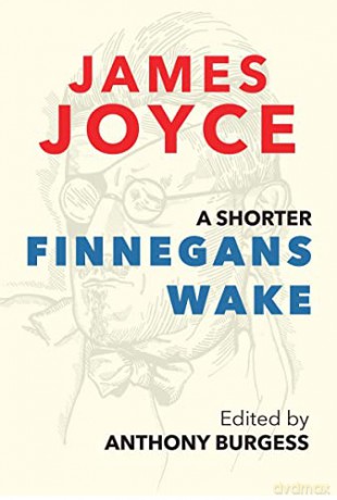 Shorter Finnegans Wake, A - Anthony(Ed) Burgess [KSIĄŻKA]