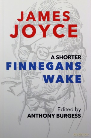 Shorter Finnegans Wake, A - Anthony(Ed) Burgess [KSIĄŻKA]