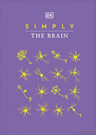 Simply The Brain - Dk [KSIĄŻKA]