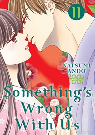 Something's Wrong With Us 11 - Natsumi Ando [KSIĄŻKA]