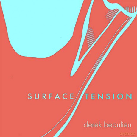 Surface Tension - Derek Beaulieu [KSIĄŻKA]