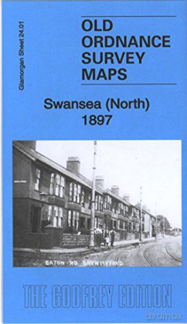 Swansea - Unknown [KSIĄŻKA]