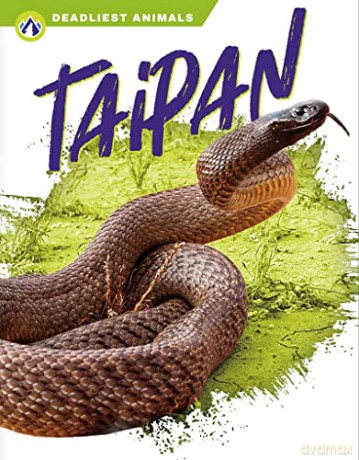 Taipan - Rachel Hamby [KSIĄŻKA]