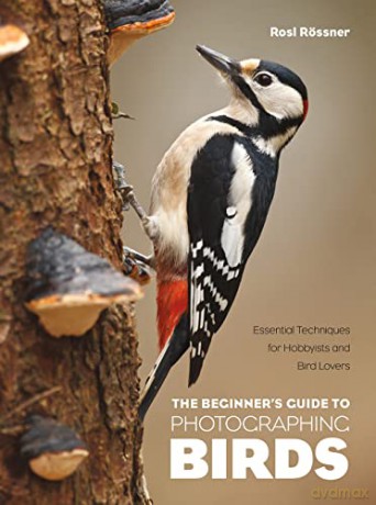 The Beginner's Guide to Photographing Birds: Essential Techniques for Hobbyists and Bird Lovers - Rosl Rossner [KSIĄŻKA]