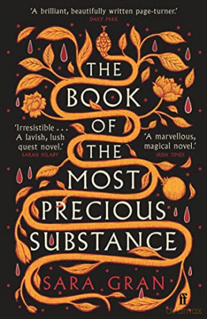 The Book of the Most Precious Substance: Discover this year's most spellbinding quest novel - Sara Gran [KSIĄŻKA]