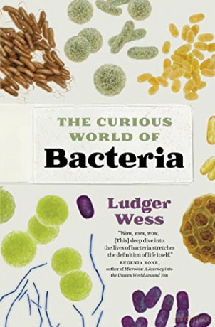 The Curious World of Bacteria: A Curious Collection from a Microscopic World - Ludger Wess [KSIĄŻKA]