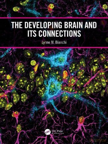 The Developing Brain and its Connections - Lynne M. Bianchi [KSIĄŻKA]