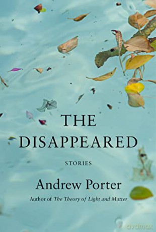 The Disappeared: Stories - Andrew Porter [KSIĄŻKA]