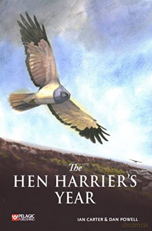 The Hen Harrier's Year - Ian Carter [KSIĄŻKA]