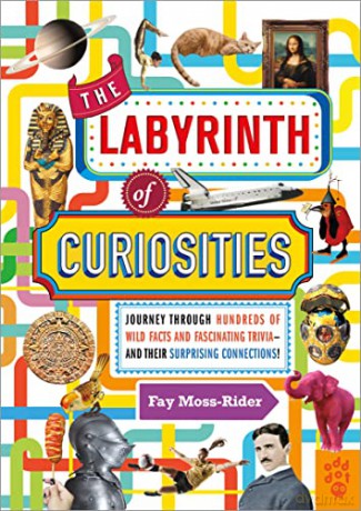 The Labyrinth of Curiosities: Journey Through Hundreds of Wild Facts and Fascinating Trivia--And Their Surprising Connections! - Fay Moss-Rider [KSIĄŻKA]