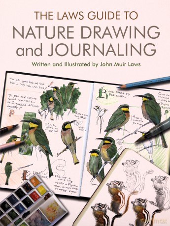 The Laws Guide to Nature Drawing and Journaling - John Muir Laws [KSIĄŻKA]