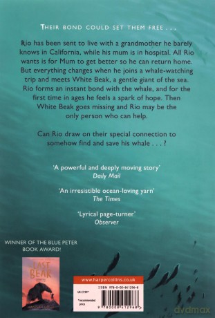 The Lost Whale: A powerful animal adventure story for children, from the bestselling author of The Last Bear - Hannah Gold [KSIĄŻKA]