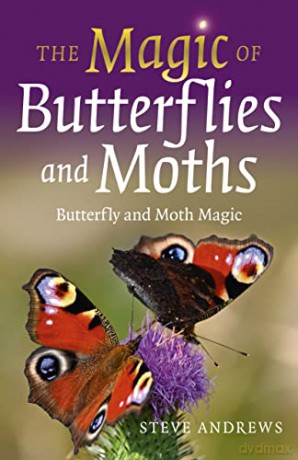 The Magic of Butterflies and Moths: Butterfly and Moth Magic - Steve Andrews [KSIĄŻKA]