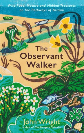 The Observant Walker: Wild Food, Nature and Hidden Treasures on the Pathways of Britain - John Wright [KSIĄŻKA]
